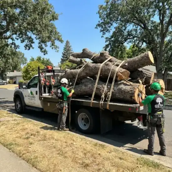 Tree service truck loaded with branches after a Atlanta job